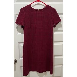 Calvin Klein shift dress. Size 6. Maroon and black